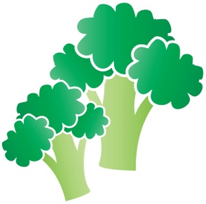 acclaim clipart: cartoon broccoli drawing with two stalks of broccoli