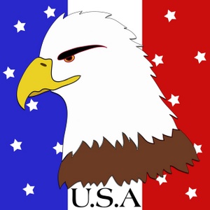 acclaim clipart: clipart image of a bald eagle and us flag