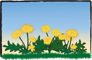 acclaim clipart: dandelion flowers growing on a lawn