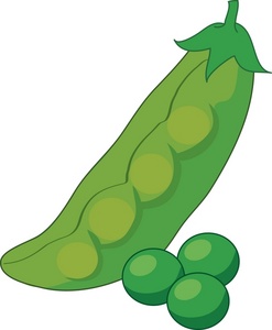acclaim clipart: garden fresh peas and a pea pod