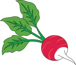 acclaim clipart: garden fresh radish