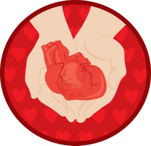 acclaim clipart: hands holding a human heart